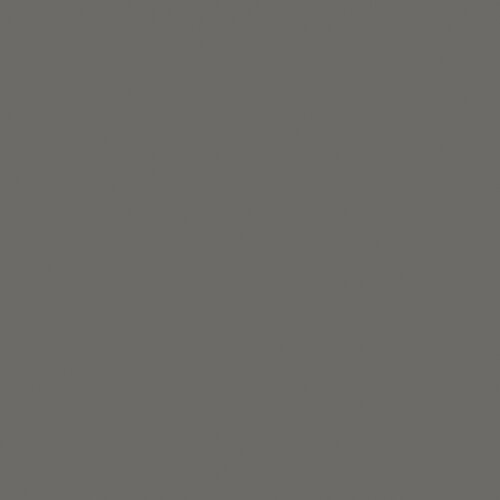 Color swatch: Pantone Cool Gray 10 C gray